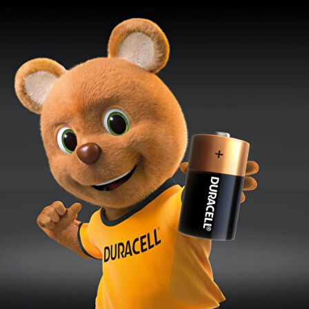 Duracell D 2 1.5V LR20 MN1300 Büyük Boy l 2'li Pil 1010441