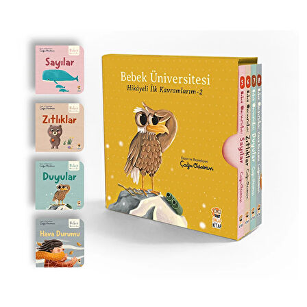 Bebek Üniversitesi Seti 2: Hikayeli İlk Kavramlarım (4 Kitap Takım) - Çağrı Odabaşı 1 Adet