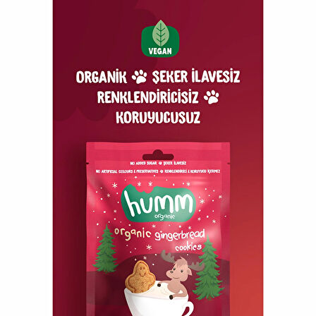 Organik Vegan Zencefilli ve Tarçınlı Kurabiye 55 gr (4 ADET)