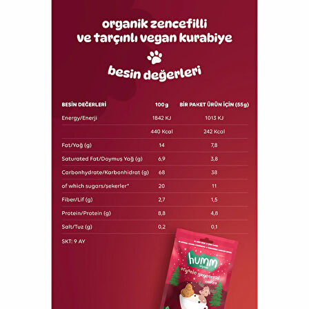Organik Vegan Zencefilli ve Tarçınlı Kurabiye 55 gr (4 ADET)