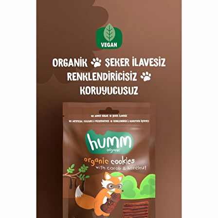 Organik Vegan Keçiboynuzlu ve Fındıklı Kurabiye 55 gr (5 ADET)