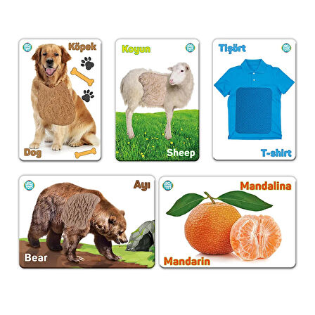 Dokun Hisset Tanı Seti