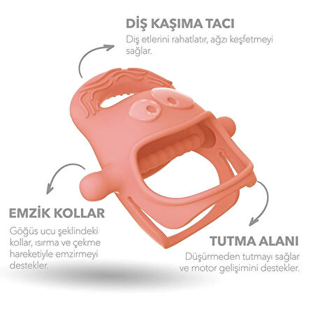 Diş Kaşıyıcı Somon