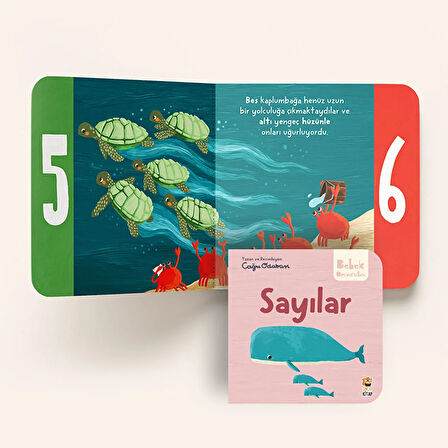 Bebek Üniversitesi Seti 2: Hikayeli İlk Kavramlarım (4 Kitap Takım) - Çağrı Odabaşı