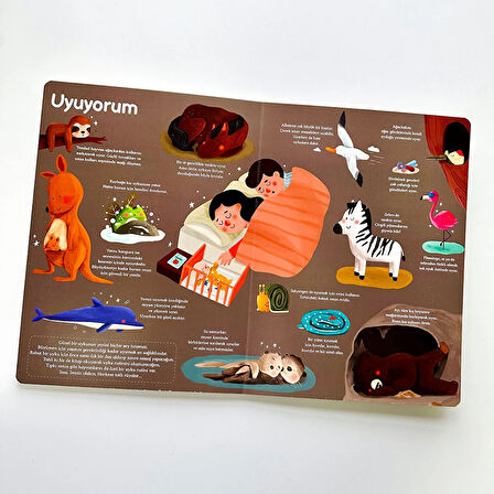 Genel Kültür Kitabım - Büyüyorum Çağrı Odabaşı