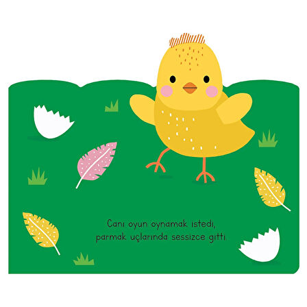 Uykusu Kaçan Minikler -Çiftlik Arkadaşları