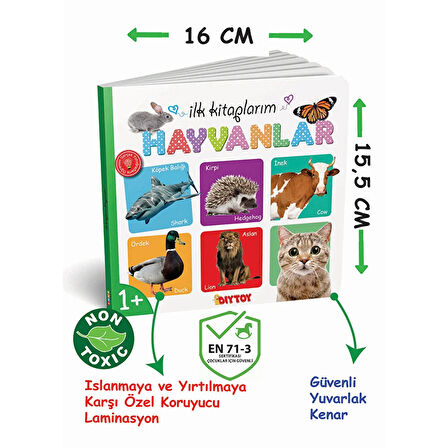 İlk Kitaplarım 6lı Bebek Kitap Seti