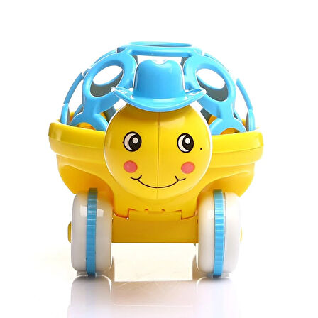 Tekerlekli Çıngıraklı Kaplumbağa Asortili