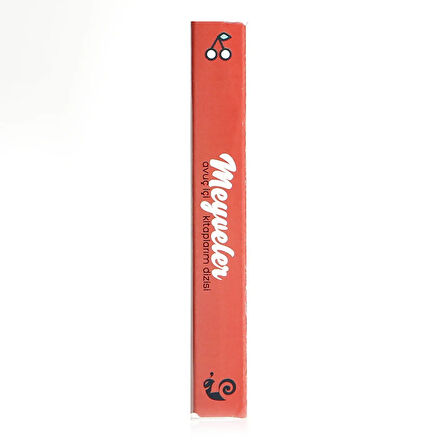 Avuç içi Kitaplarım Dizisi Meyveler