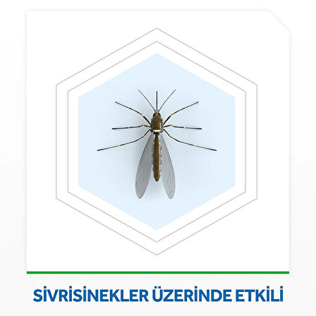 Ayarlanabilir Elektrolikit 30 Gece