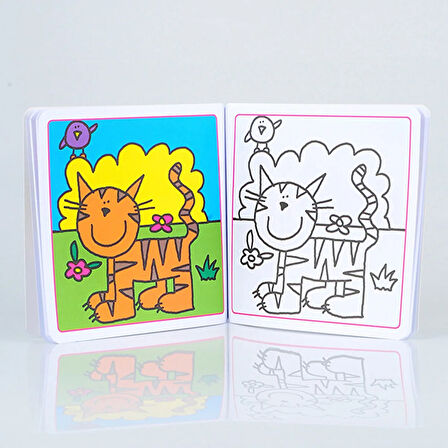 NET Boyama Kitabı Kurbağa