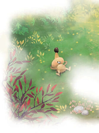 Kanatlı Kirpiyle Uçan Kaplumbağa