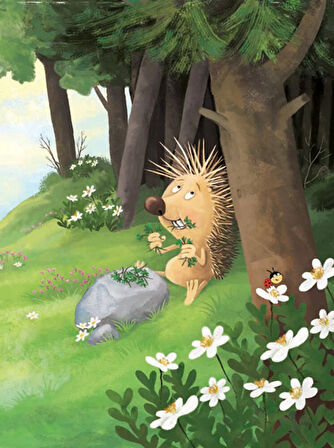 Kanatlı Kirpiyle Uçan Kaplumbağa