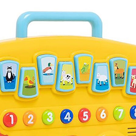 WIN- Hayvan Dostlarım Otobüsü