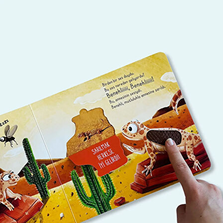 İlk Dokun Hisset Çöle Dokun