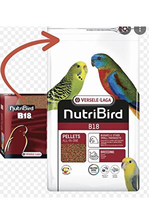 Versele Laga Nutribird B18 Meyveli 500 Gr Muhabbet Kuşu Yemi 