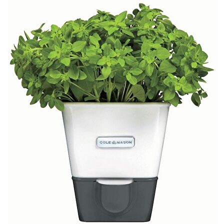 Cole & Mason H105249 Yeşillik Saklama Kabı