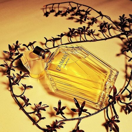 Coty L'Aimant EDT 50 ml Kadın Parfümü