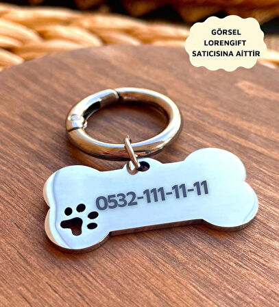 İsme Özel Çelik Kedi Köpek İsimlik Künyesi Gümüş