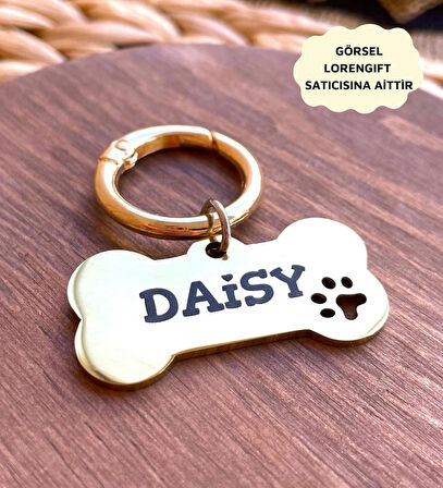 İsme Özel Çelik Kedi Köpek İsimlik Künyesi Gold