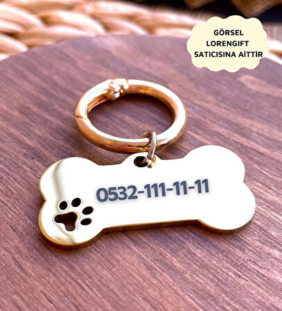 İsme Özel Çelik Kedi Köpek İsimlik Künyesi Gold