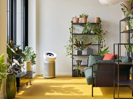 Dyson HEPA Big+Quiet Formaldehyde Hava Temizleyici