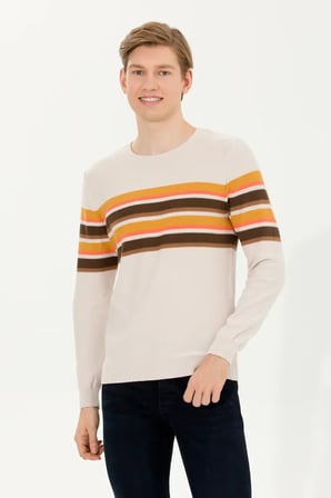 Erkek  Bisiklet Yaka Triko Kazak 50256184-VR033