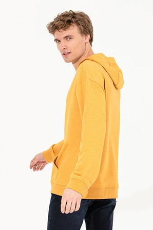 Erkek   Kapüşonlu Sweatshirt 50256350-VR119