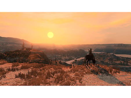 TAKE 2 Red Dead Redemption Switch 2 Oyun (Dijital Kod)