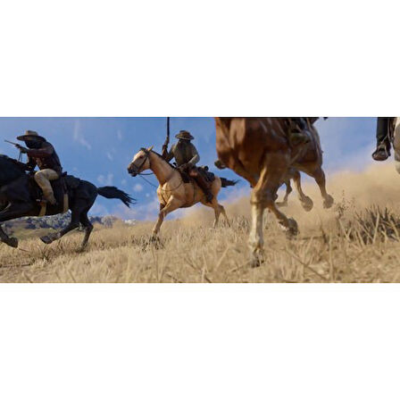 Red Dead Redemption 2 PS4 Oyun