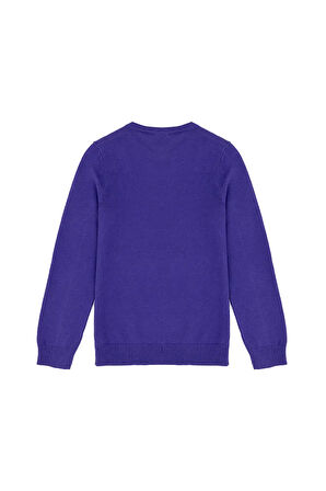 Kız Çocuk Mor Basic Kazak 50269399-VR038