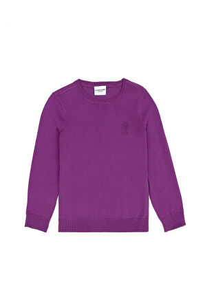 Kız Çocuk Violet Basic Kazak 50269399-vr203
