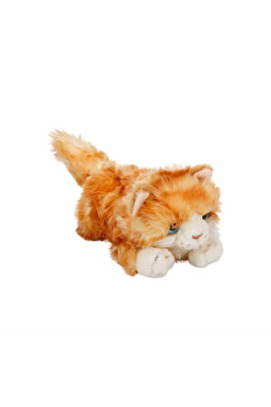 Yatan Sarı Beyaz Kedi Peluş 25 cm