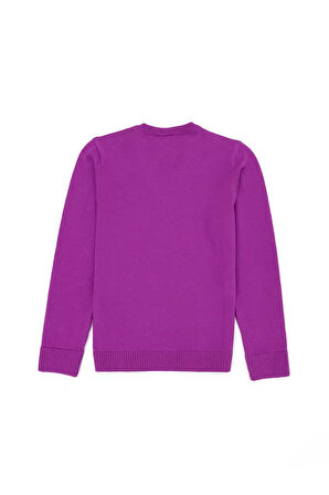 Kız Çocuk Violet Basic V Yaka Kazak 50275850-VR203