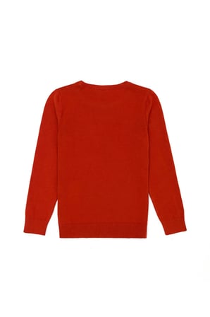 Kız Çocuk  Basic Bisiklet Yaka Kazak 50275851-VR031
