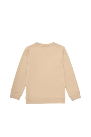 Erkek Çocuk  Bisiklet Yaka Sweatshirt 50293617-VR085
