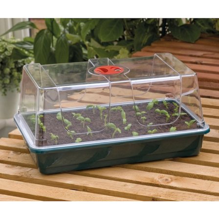 Garland High Dome Large Mini Sera Çimlendirme Viyolü 38x24x19 cm Havalandırmalı