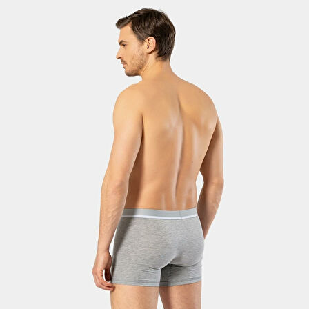Cacharel Erkek Likralı Boxer 1315/Gri