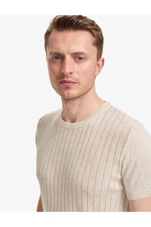 Bej Slim Fit Keten Karışımlı Bisiklet Yaka Triko Tişört 50323949-VR011