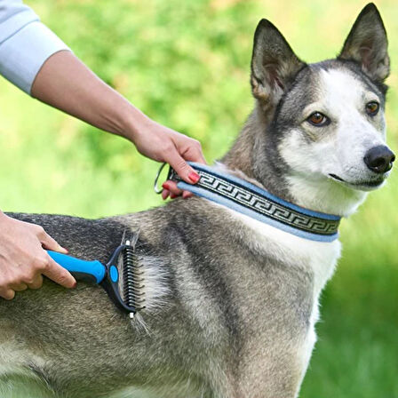 Plastik Saplı Metal Kedi Köpek Bakım Kıtık Tüy Topak Açıcı Tarak (5042)