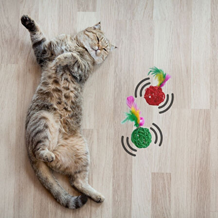 2li Rattan Renkli Peluş Tüy Kedi Köpek Oyuncak Yakalama Çiğneme Çıngıraklı Top Oyuncağı (5042)