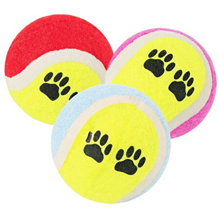 3&apos;lü Renkli Desenli Tenis Topu Kedi Köpek Oyuncağı (5042)