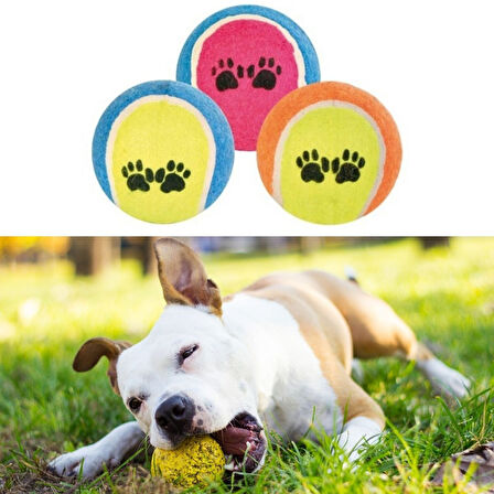 3&apos;lü Renkli Desenli Tenis Topu Kedi Köpek Oyuncağı (5042)