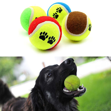 3&apos;lü Renkli Desenli Tenis Topu Kedi Köpek Oyuncağı (5042)