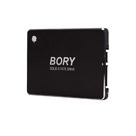 BORY R500-C128G SATA3 128 GB SSD 550/510 MBS HARDDİSK (5042)