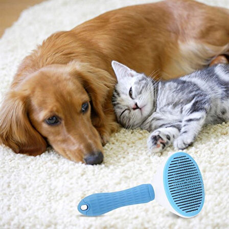 Kedi Köpek Tüy Toplayıcı Kendini Temizleyebilen Ergonomik Saplı Evcil Hayvan Tarağı Mavi (5042)