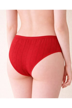 Tutku Pamuklu Kadın Bikini Külot 6'lı Fırsat Paketi Jakarlı Asorti Nefes Alan Günlük İç Çamaşırı