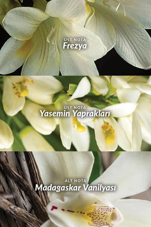 Avon Far Away Kadın Rollon 50 Ml. Üçlü Set