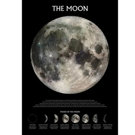 Maxi Poster The Moon Phases