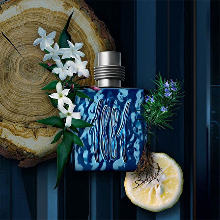 Cerruti 1881 Silver Night EDP 100 ml Erkek Parfümü